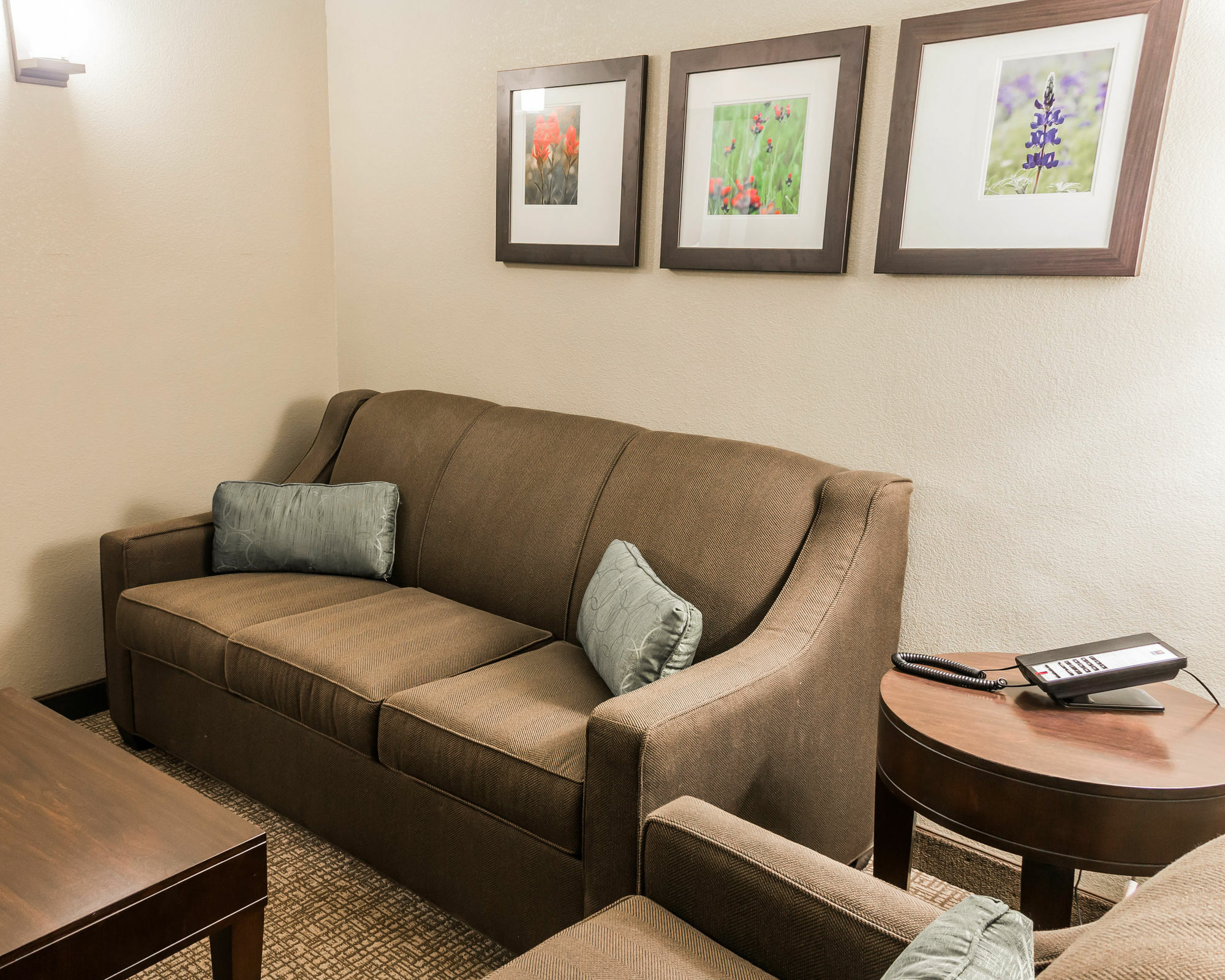 Comfort Inn & Suites Pharr/Mcallen Exterior foto